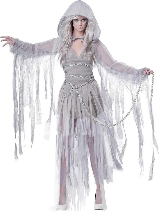 California Costumes Other - California Costumes Haunting Beauty Ghost Costume